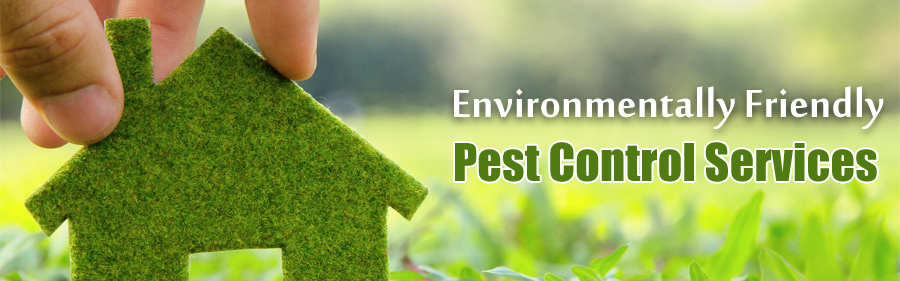 Pest Control India, Commercial, Residential Services in Mumbai